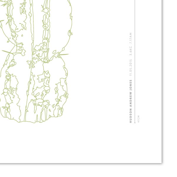 Euphoria-House-Botanical-Custom-Birth-Print-Baby-Cactus