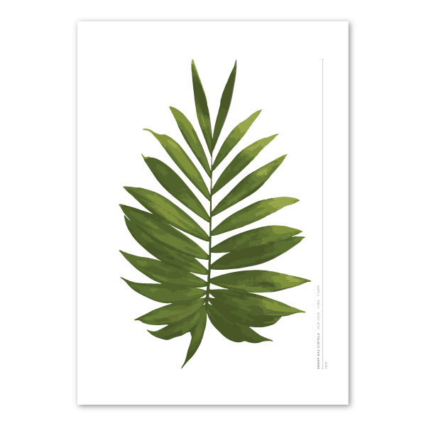 euphoria-house-palm-frond-birth-print-full-leaf-main