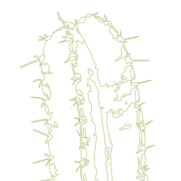 scandi-cactus-art-print-a4-a3-closeup