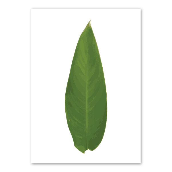 heliconia-leaf-art-print-a4-a3